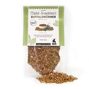Verpackung von gefriergetrockneten Buffalowürmern - essbare Insekten für die Küche, 40g, nachhaltig und proteinreich.