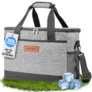 Kühltasche in hellem Grau mit stabilen Griffen und Reißverschluss, ideal für Picknicks, Camping und Reisen. Transparentes Innenmaterial und 30L Volumen für Lebensmittel und Getränke.
