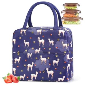 Kleine Kühltasche mit buntem Lama-Design, ideal für Picknick und Reisen, bietet Platz für Snacks und Getränke.