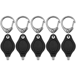Set von fünf schwarzen Mini-LED-Taschenlampen-Schlüsselanhängern mit Federkarabiner, ideal für den Schlüsselbund und unterwegs.