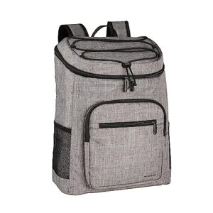 Wasserdichte Rucksack-Kühlbox in Grau mit 20 Litern Fassungsvermögen und verstellbarem Schultergurt. Ideal für Picknicks und Ausflüge.