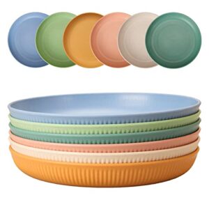 CSYY 6 Stück unzerbrechliches Kunststoffteller Set in verschiedenen sanften Farben für Picknick, Camping und Zuhause, Ideal für Salate und Pasta, spülmaschinenfest und mikrowellengeeignet.