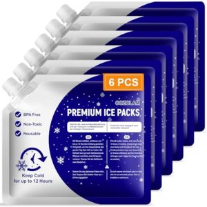 Set von sechs wiederverwendbaren Kühlakkus in einer transparenten Verpackung, ideal für Kühltaschen, Kühlboxen und Rucksäcke mit einer Kühlleistung von bis zu 12 Stunden.