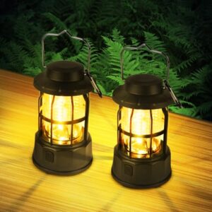 Doppellampen auf einem Tisch, 2 Stück LED Campinglampe Tragbar, IPX4 Wasserdichte Camping Licht, Batteriebetrieben Campinglampe, Dimmbare COB-Helligkeit & 3 Lichtmodi für Outdoor, Nachtangeln, Garten, Notfall Ausfälle