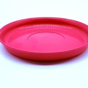 Kimmel Teller 14 cm Geschirr für Camping, Picknick, Party und Outdoor - Mehrweg und recyclebar