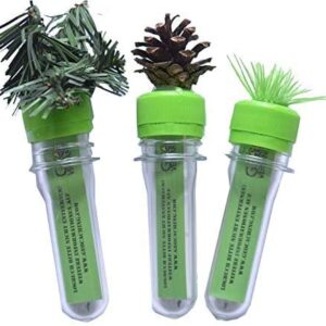 Komplett-Set für Geocaching-Anfänger: 3x Petling mit Tanne Gras und Tannenzapfen, Logbuch und Stift