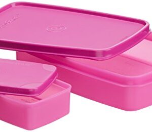 Kompakte Lunchbox 2er Set in pink rosa, BPA-frei, mikrowellengeeignet und luftdicht, ideal für Mahlzeiten auf der Arbeit oder unterwegs