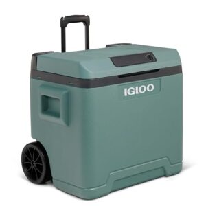 Elektrische Kühlbox von IGLOO, 42 Liter Fassungsvermögen, 12V und 230V Stromversorgung, ideal für Auto, Camping und Wohnmobil