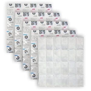 Kleine Kühlakkus Kühlelemente für Kühltasche und Kühlbox - Wiederverwendbare Eisbeutel 5 Stück, Versand-Eisbeutel, Gefrorene Gelpacks für den Lebensmittelversand für Schule, Picknick, Camping