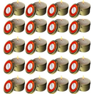 20 langbrennende Kerzen für Notfälle, 30h Brenndauer, windfest und rauchfrei, ökologische Kerzen für Camping oder Wandern