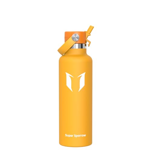 Trinkflasche aus Edelstahl mit ultraleichtem Thermobehälter, 750ml Fassungsvermögen, Standardmund Stroh-Deckel und BPA-Freie Qualitäts-Sicherheit für Sport, Reisen, Schule und Outdoor-Aktivitäten