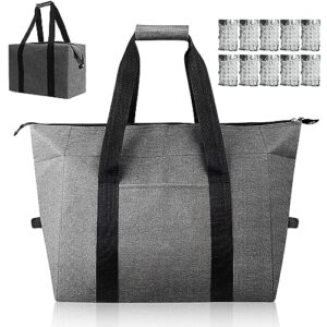 20L Kühltasche groß, kühle Isoliertasche für Picknick, BBQ, Camping, Reisen und Büroarbeit, faltbar und tragbar