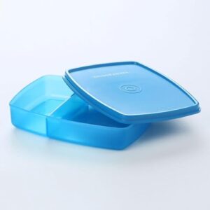 Signoraware To Go Lunchbox, blauer Brotdose mit Trennwand und Abtrennung, umweltfreundlich und praktisch für die Schule oder das Alltagsgenuss