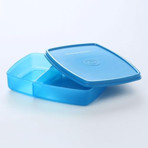 Signoraware To Go Lunchbox, blauer Brotdose mit Trennwand und Abtrennung, umweltfreundlich und praktisch für die Schule oder das Alltagsgenuss